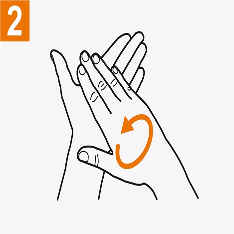 Frótese las palmas de las manos entre sí 